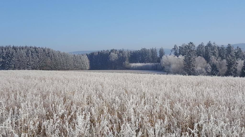 Pension Hofer Bad Berneck im Fichtelgebirge Exterior foto